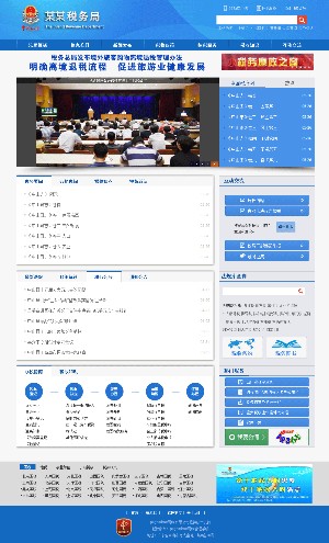 税务局网站模板